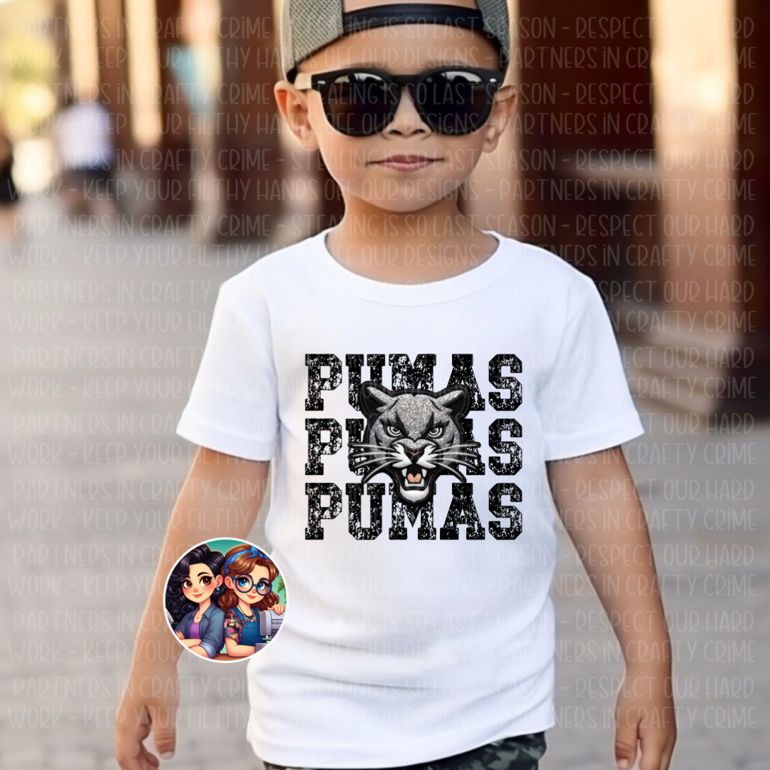 Pumas Youth